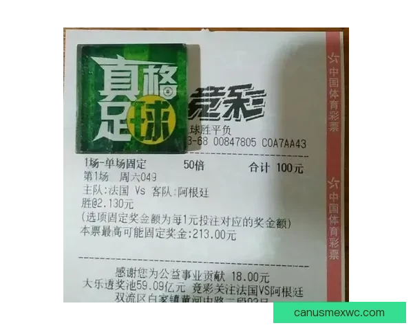世界杯竞猜网站推荐与投注技巧分析助你精准预测赛事结果