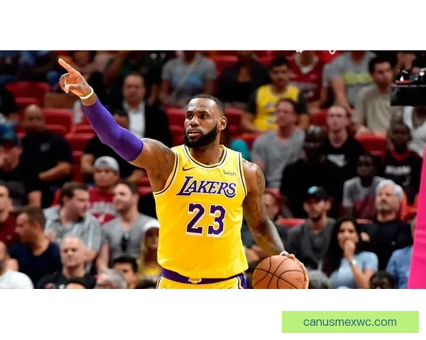 詹姆斯盛赞布朗尼具备NBA实力：我们家做事从不敷衍