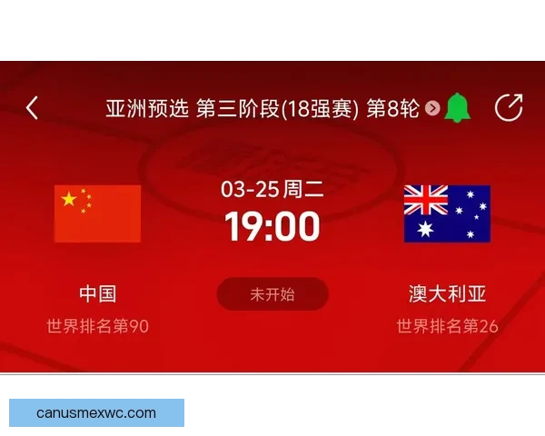 聚焦美加墨世界杯投注趋势解析与球迷理性参与及风险识别指南